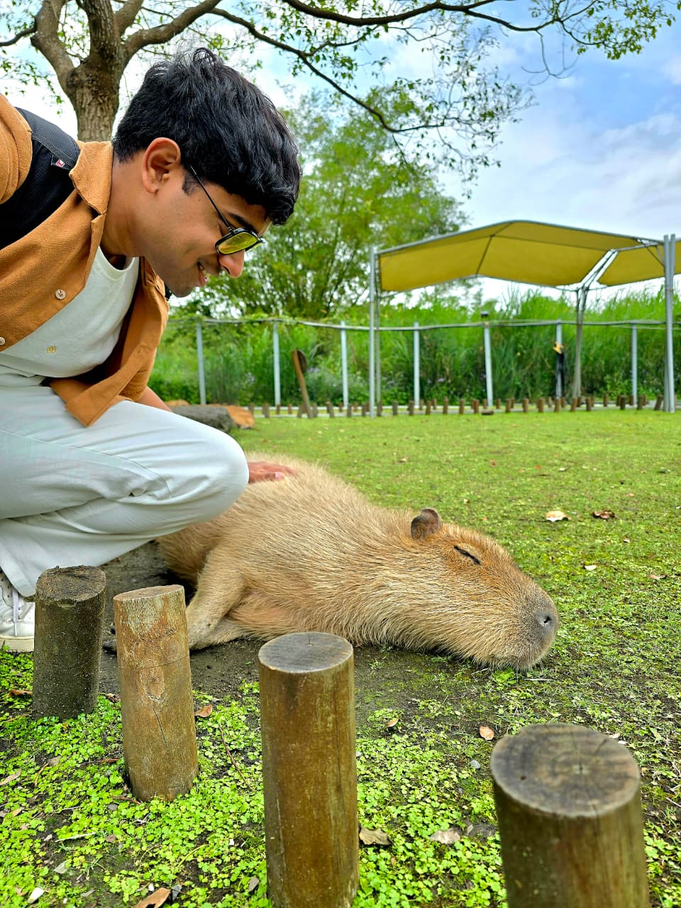 Capybara Café, Taiwan