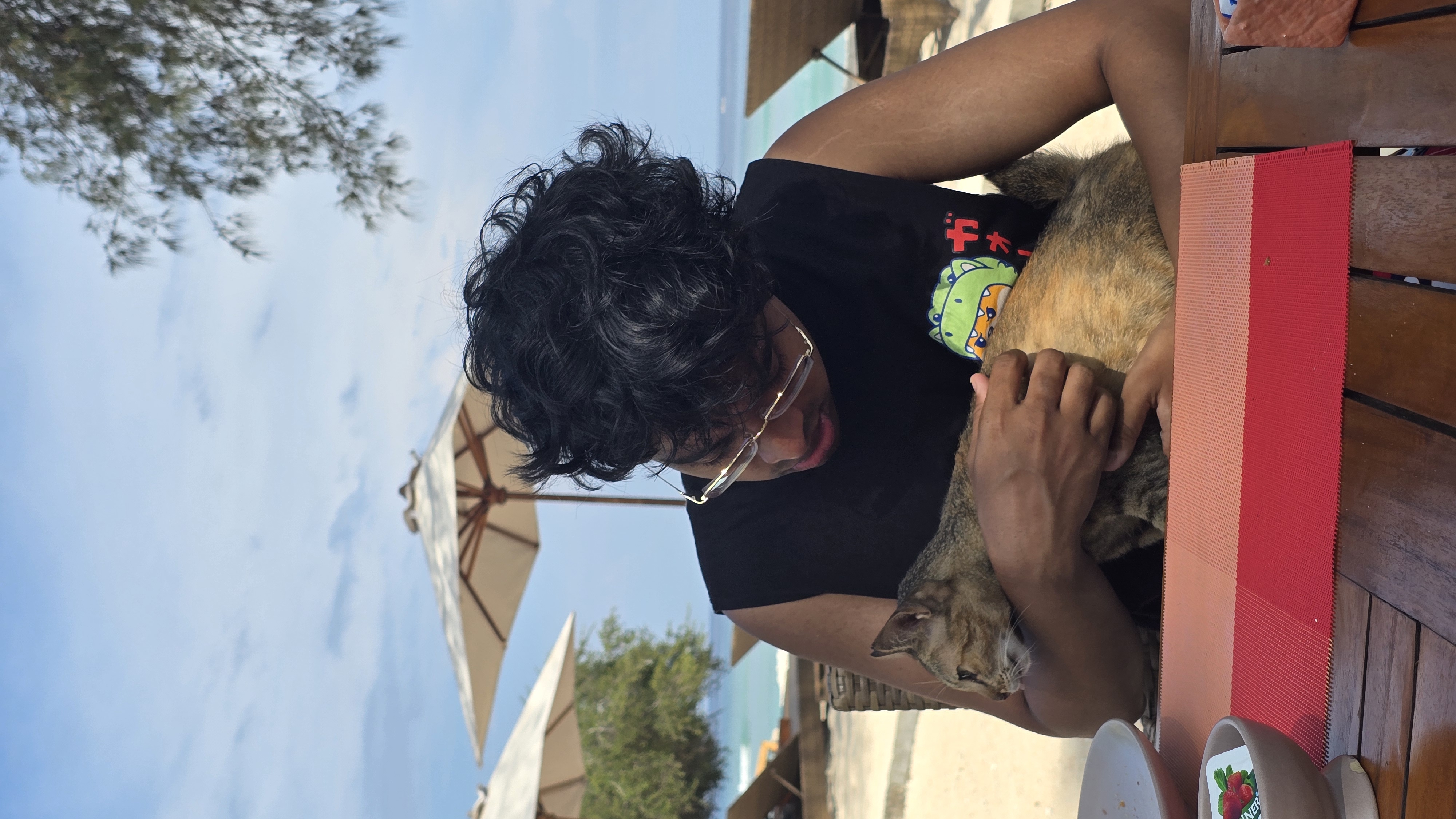 Beach cat, Bali