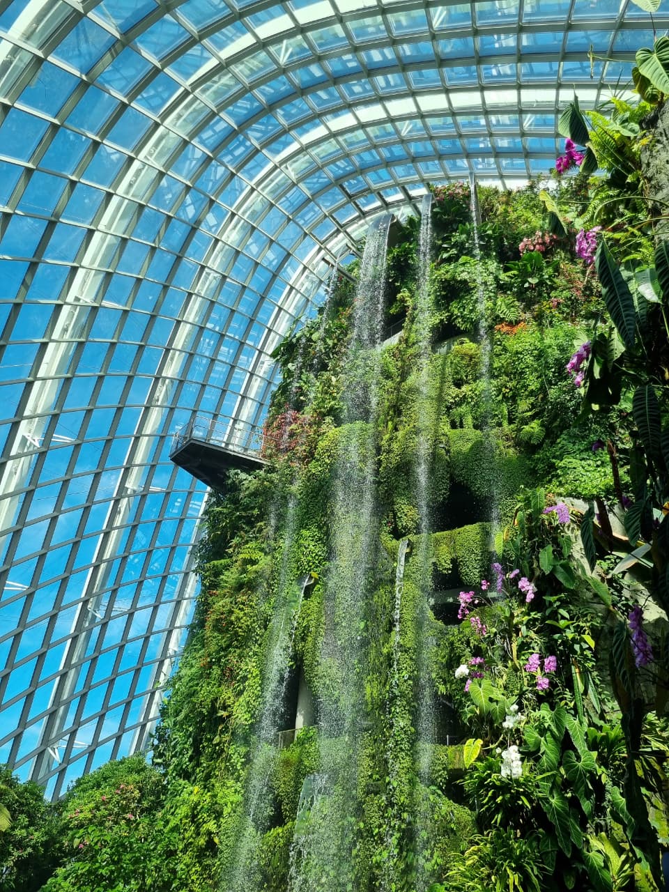 Gardens by the Bay, Singapore